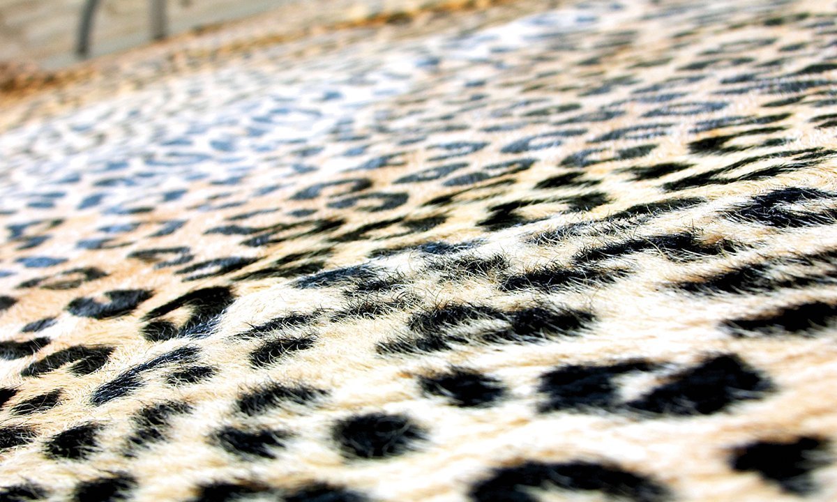 COW SKIN (printed) PANTHER - Image 3