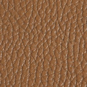 Leather-Tan-Embossed